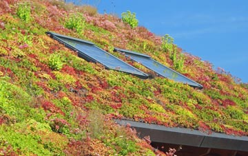 Grisling Common living roof systems